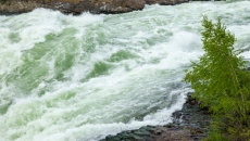 Calgary woman swept away in B.C. river dies