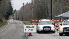 Truck Hits Cow, Veers Into House Off Highway 97A: RCMP