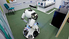 Robot sex to determine how life began