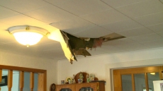 Family Says Rock Narrowly Missed Boy After Crashing Through Roof During Blasting