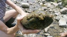 Rock Snot? What Rock Snot? Interview Request Sets Off Public Relations Flurry