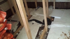 Belgian Police Find 25 Sikhs In A Secret Compartment Of A Romanian Truck