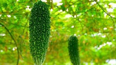 Go for food with rough texture for a healthy you!