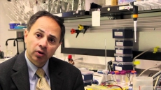 India-Born Scientist's Team Develops Blood Test For Early Cancer Detection