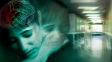 Vitamin D deficiency increases schizophrenia risk