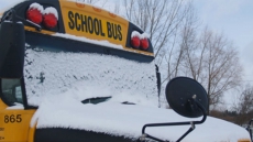 Snow Day With No Snow Launches Annual Tradition Of Mocking School Boards