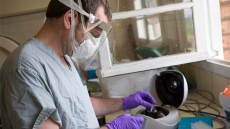 Scientists at Canada's National Lab created, tested the anti-Ebola drug ZMapp