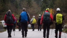 Volunteer search and rescue leaders allege mistreatment by B.C. government