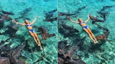 Shark Bites Instagram Model During Photo Shoot