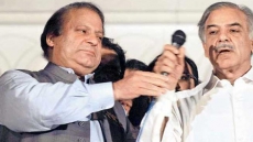 Pakistan Punjab CM Shehbaz Sharif Writes To Amarinder Singh, Seeks Cooperation To Combat Smog