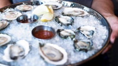 Public Health Warning Issued Over B.C. Shellfish Bacteria That Sickened 67