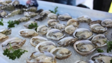 5 More People Sickened In Connection With Raw B.C. Shellfish