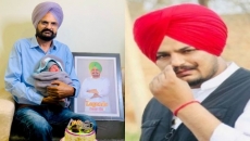 Moosewala’s father adhered to all protocols on IVF treatment: Punjab Congress chief