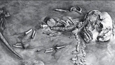 Prehistoric skeleton confirms first American origins