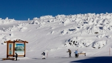 B.C. ski resort fires staff after COVID-19 spread