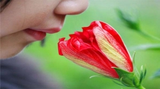 Biosensor to help machines smell like humans