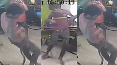 Snake Bites Man On The Bottom In Thai Internet Cafe