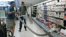 Woman Reaches Into Supermarket Fridge, Finds 12-Foot Python