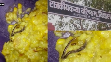 Dead Snake Found In Mid-Day Meal Of Faridabad School