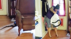 Watch: Hold Your Breath! This Woman Catches A Snake Using Just A Pillow Case