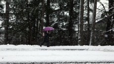 Snowstorm inbound for Metro Vancouver as winter weather rages across Canada