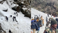 7 tourists killed in Sikkim avalanche; 350 rescued