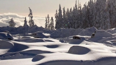 Heavy Snow, Poor Driving Conditions Along B.C.'s Northern Coasts, Yukon Border