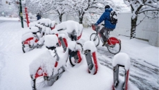 Snowfall warning for parts of Lower Mainland could mean sloppy Vancouver commute
