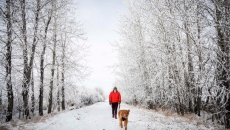 Western and Northern Canada braces for chilly, snowy Christmas