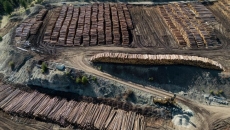 Canada drops 2 appeals of U.S. anti-dumping duties on softwood lumber