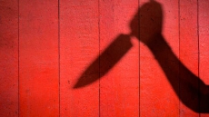 38-Year-Old Woman Stabbed Over Quarrel In Delhi's Rohini, Say Police