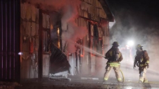 More Than 40 Racehorses Die In Ontario Stable Fire