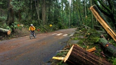 71-year-old Vancouver man dies after being hit by cyclist in Stanley Park