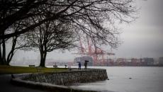 Teen dies after car crashes into tree in Vancouver's Stanley Park