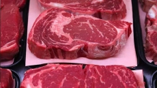 Police Dog Easily Tracks Down Steak Thief After New Brunswick Grocery Larceny