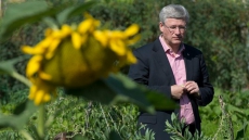 Russia's growing military presence in the Arctic a concern to Harper