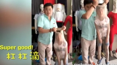 Man Squeezes 8-Year-Old Son Into Pair Of Stockings To Promote Business