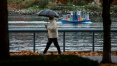 Storm, wind hits southern B.C., but no damage