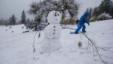 Storms bring snow warnings for parts of B.C.