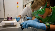 Nine out of 10 eighth-graders meeting expectations in science, study shows