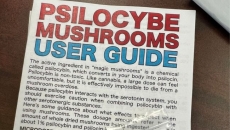 BC United MLA Elenore Sturko receives unwelcome Christmas gift from a local drug activist