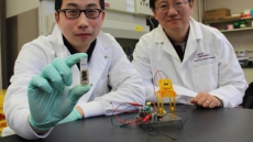 Soon batteries to run on sugar