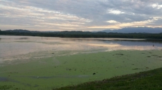 Chandigarh's Famous Landmark, The Sukhna Lake, Is Fighting For Survival