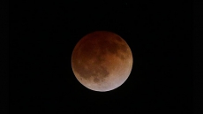 Canada tops in key measures of scientific literacy