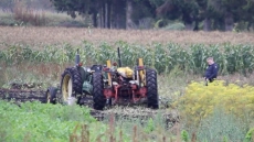 Young Boy Dies In Farming Accident Near Waterloo, Ont.