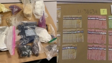 Multiple search warrants lead to substantial drug seizure: Surrey RCMP