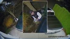 Surrey RCMP seek help identifying a man suspected of property damage