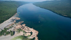 First Nations health officials to start salmon testing after B.C. mine spill