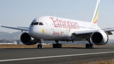 Ethiopia's India connect grows: A Dreamliner named Taj Mahal