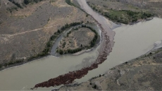 Taskforce ready for 'emergency enhancement' of salmon stocks after B.C. landslide